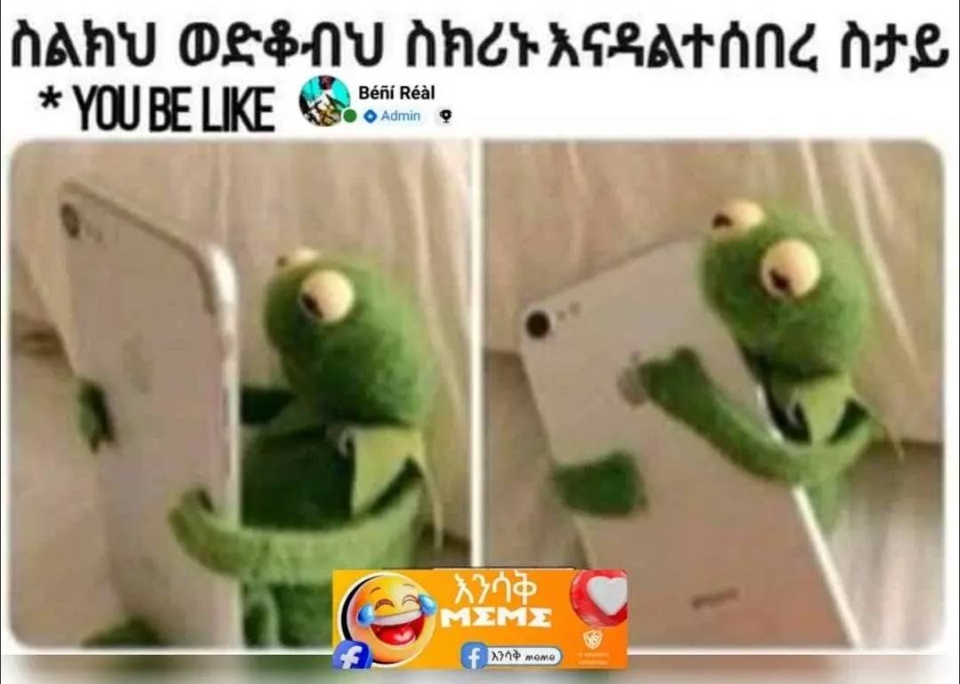 Frog Is Seen In The Screen a frog is seen in the screen of a news